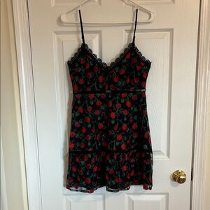 Nothin to Mesh With Black Floral Embroidered Skater Dress